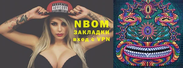 хмурый Аркадак