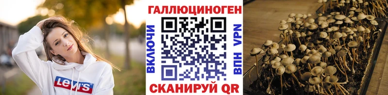 МЕГА маркетплейс  Тында  Галлюциногенные грибы прущие грибы  где купить наркоту 