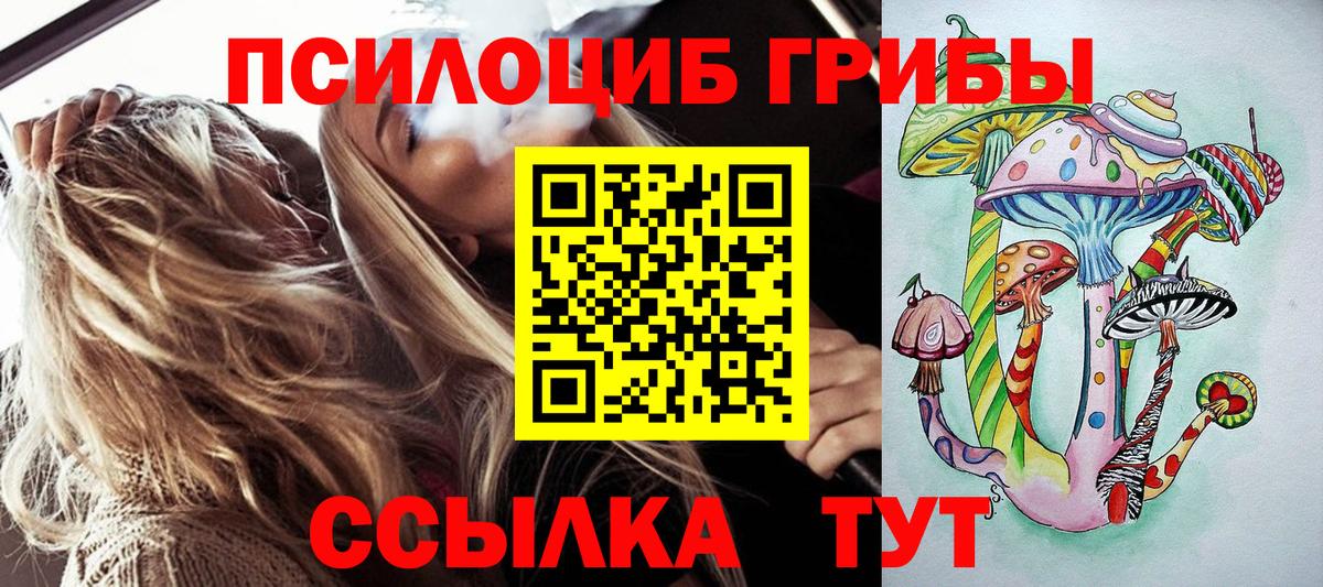 купить наркоту  Галлюциногенные грибы мицелий  Вход с VPN  Тында  Галлюциногенные грибы мицелий 