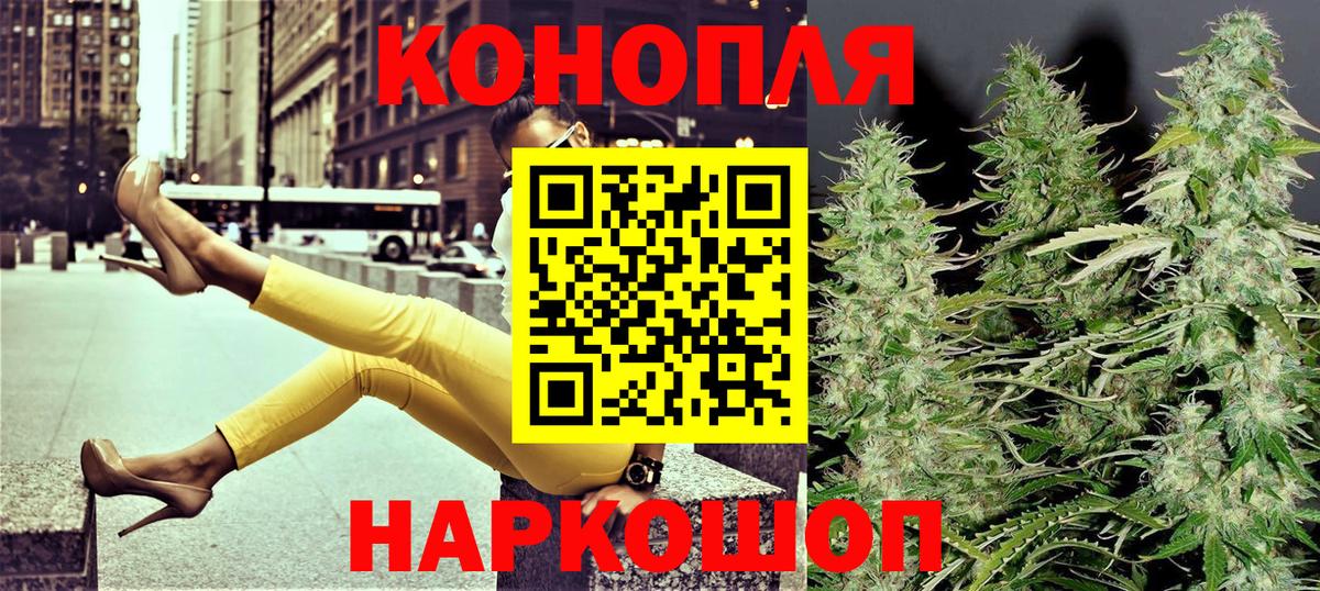 Галлюциногенные грибы Тында